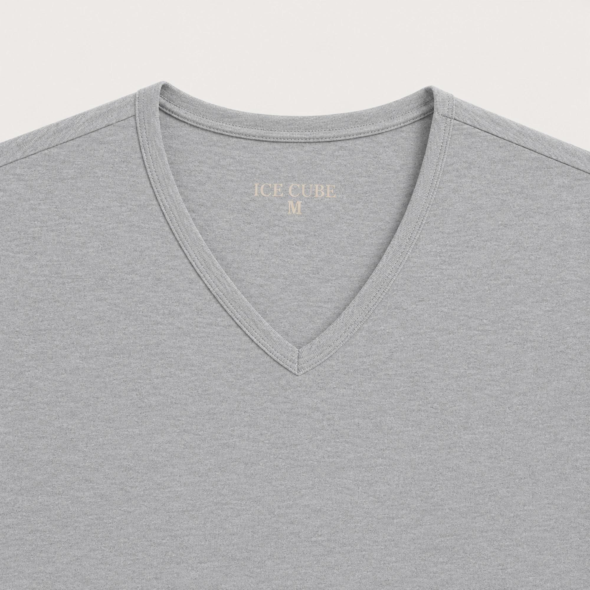 Men's Cotton Stretch V-Neck T-Shirt media preview 2
