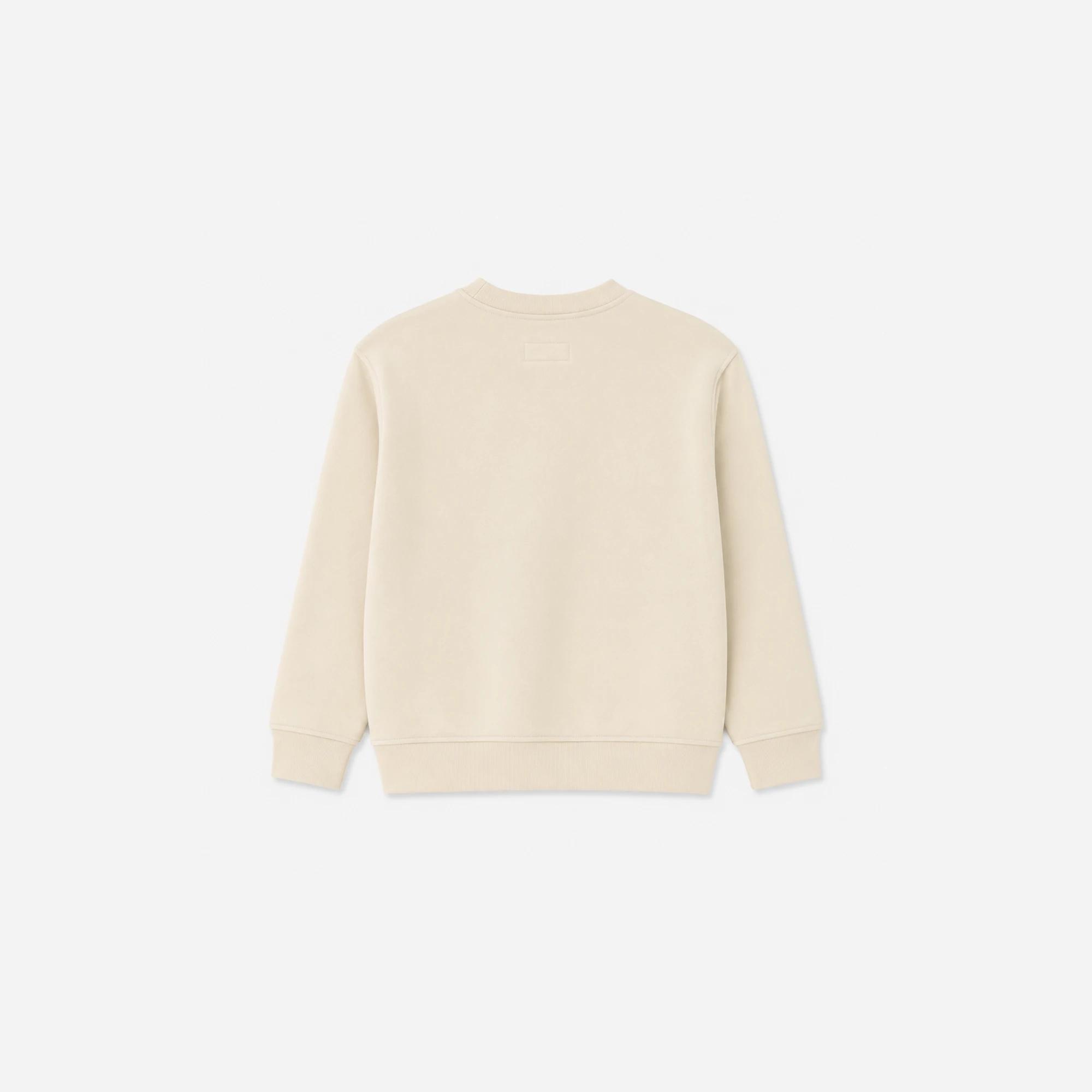 BOY'S GRAPHIC CREWNECK SWEATSHIRT Thumbnail 4