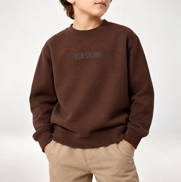 BOY’S GRAPHIC BLEND CREWNWCK SWEATSHIRT Thumbnail 1